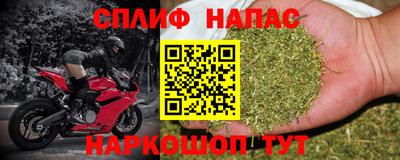 дурь Можга