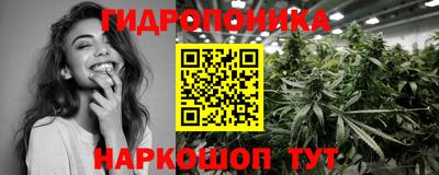 дурь Можга