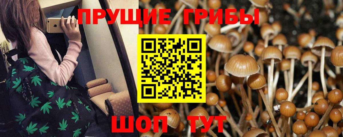 COCAIN Татарск
