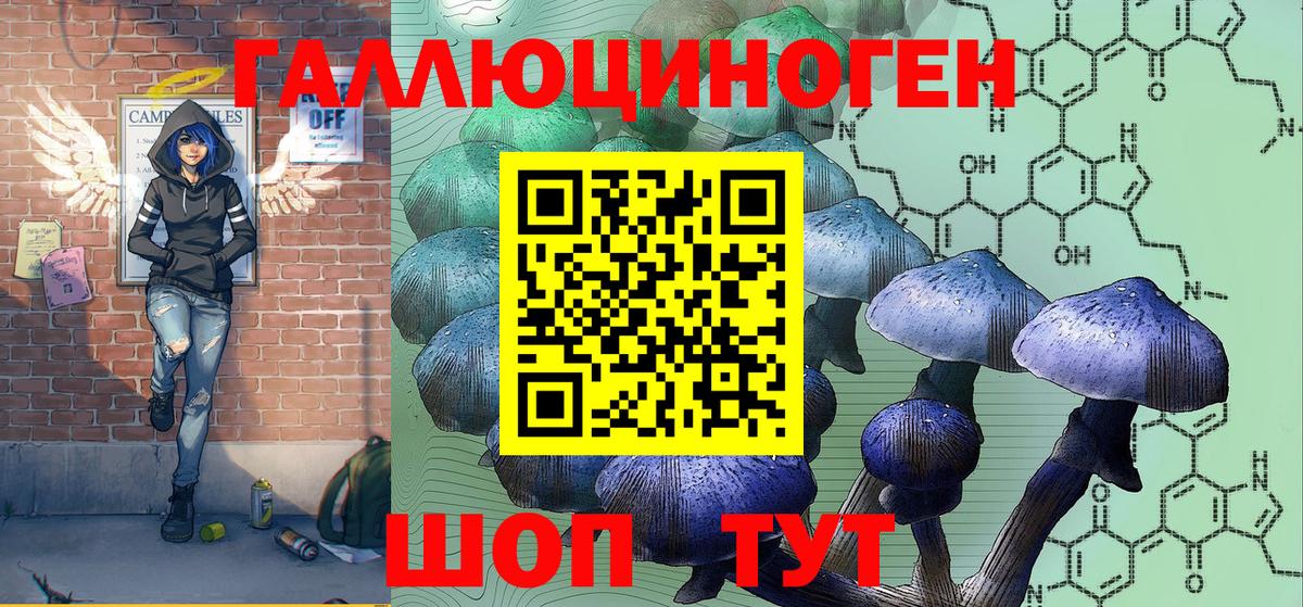 Галлюциногенные грибы прущие грибы  Галлюциногенные грибы Psilocybine cubensis  Вход с VPN  Татарск 