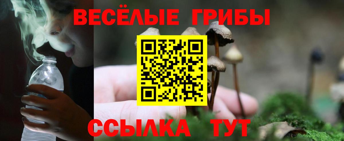 Псилоцибиновые грибы мухоморы Татарск